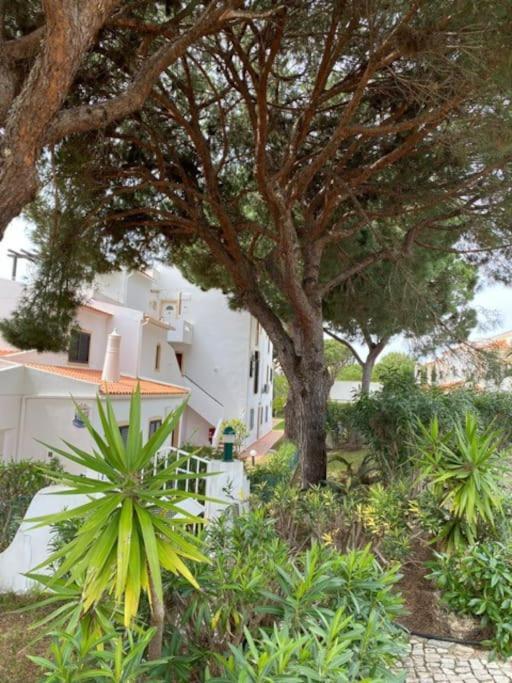 Falesia Appartement *