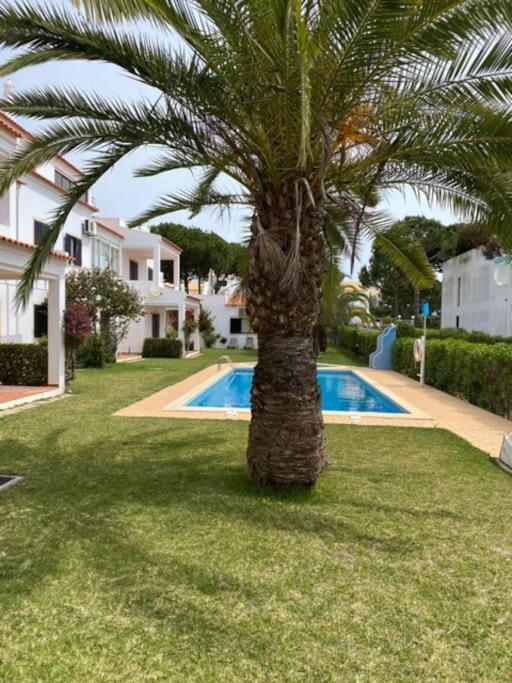 Falesia Apartamento