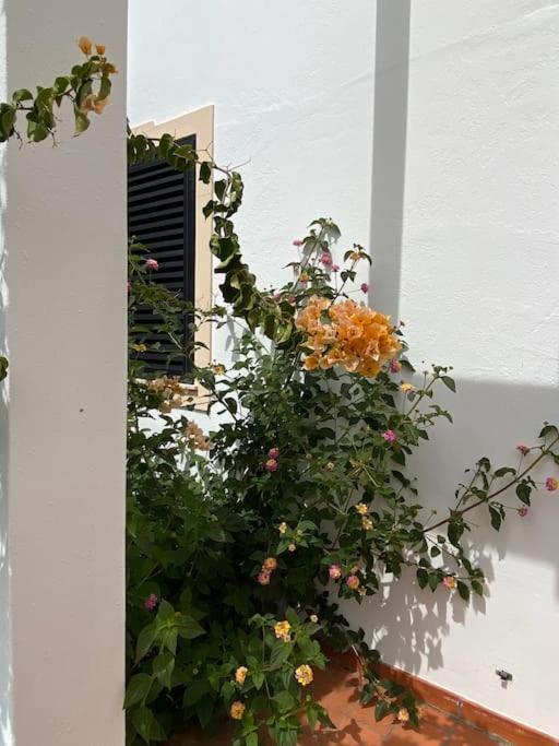 Falesia Apartamento Albufeira