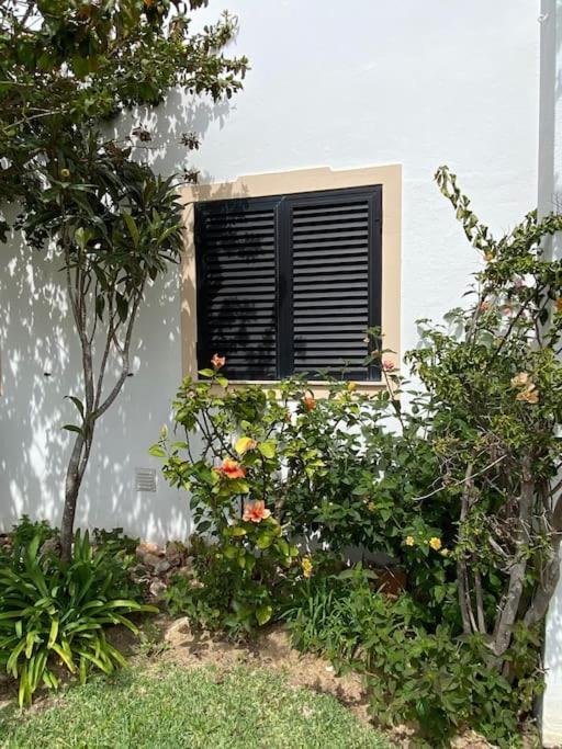 Apartment Falesia *